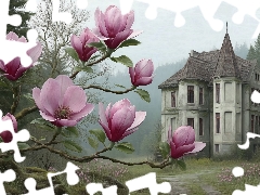 Magnolias, house, forest, villa