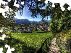 Meadow, Way, village, Switzerland, Houses, forest