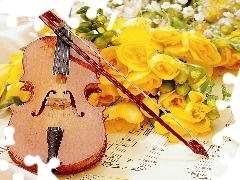 Yellow, Tunes, violin, roses