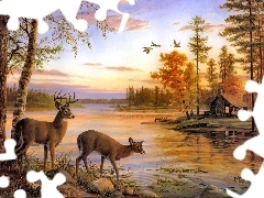 Home, Mary Pettis, doe, water, deer