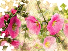 Hollyhocks, picture, watercolor, Flowers