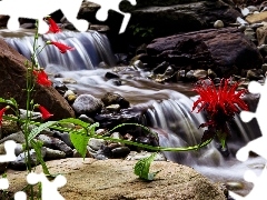 waterfall, stones, Colourfull Flowers, stream, Red