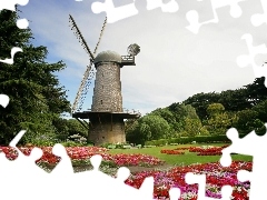 Flowers, viewes, Windmill, trees