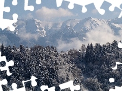 Mountains, forest, winter, Fog