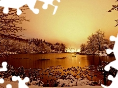 winter, lake, Park