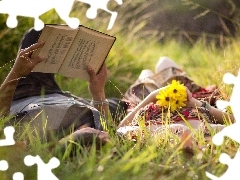 Steam, Meadow, Yellow, Flowers, Book, grass