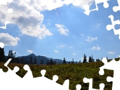 Sky, 2560 Meadow, Zakopane